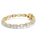 GLBR-0036 — GLBR-0036-01@Y-#viwe1